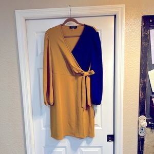 Kasper NWT color block dress